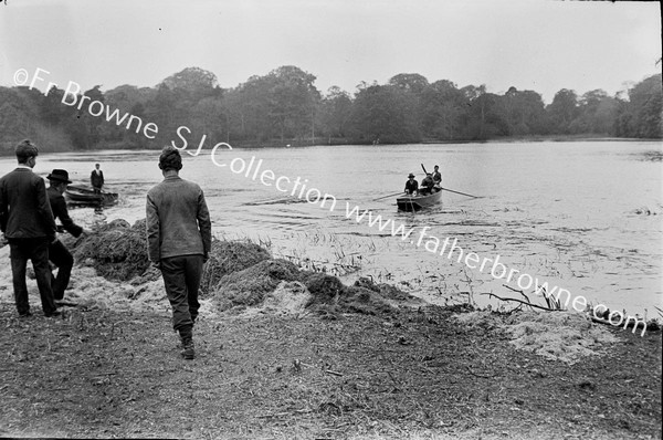 NOVICES ON LAKE REED CUTTTING